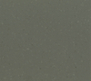 Dried Tarragon 8644